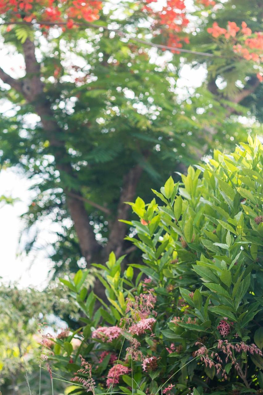 Pousada Solar Tropical Saquarema Kültér fotó